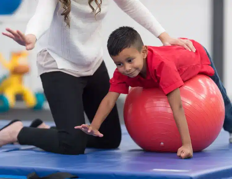 physical therapy exercise ball